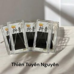 Mi Douyin Sole Trung Hoa