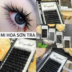 Mi Hoa Sơn Trà Camelia