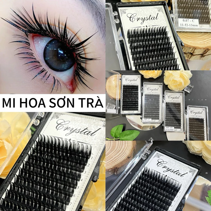 Mi Hoa Sơn Trà Camelia